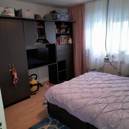 Apartament Straja - Lupeni  Zewnętrze zdjęcie
