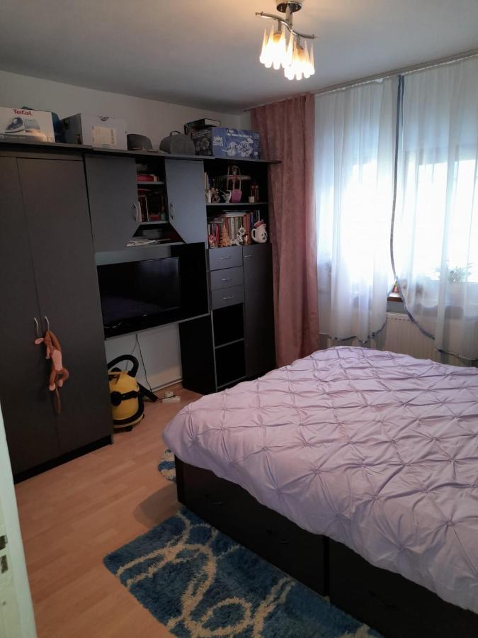 Apartament Straja - Lupeni  Zewnętrze zdjęcie