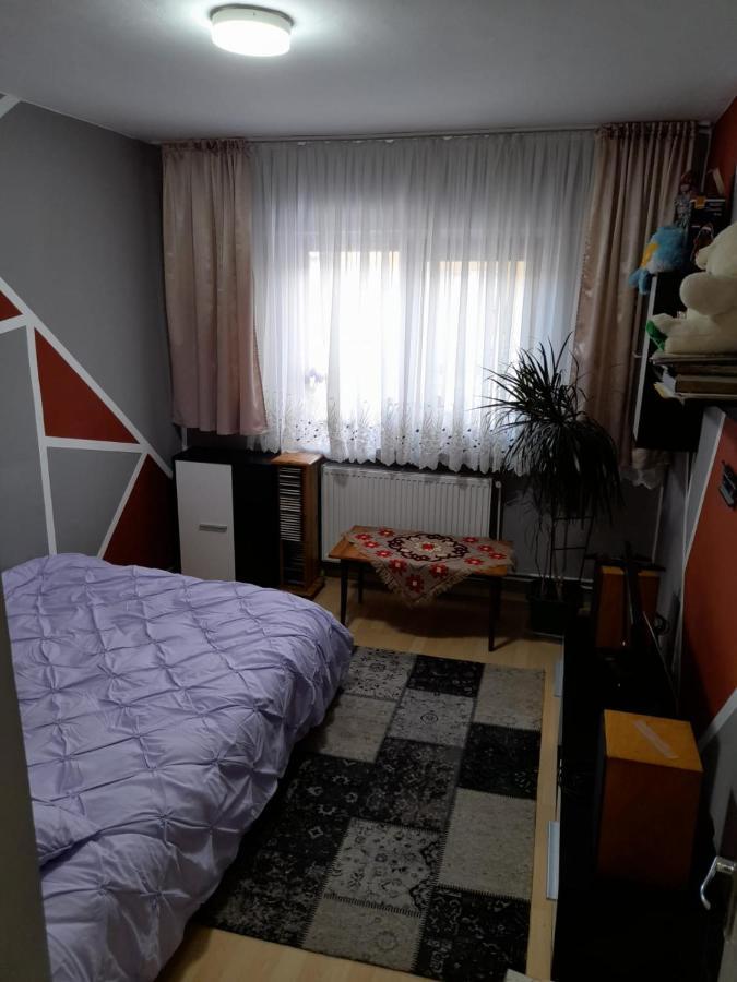 Apartament Straja - Lupeni  Zewnętrze zdjęcie